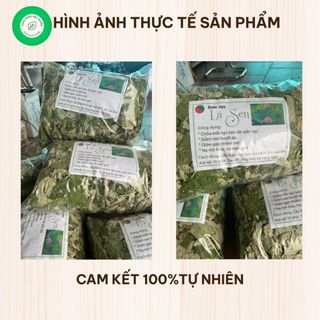 Lá Sen Khô Vụ Mới Xanh 1kg Nguyên Chất | Dược Liệu Khô Chọn Lọc | Thảo Dược Đạt Huyền