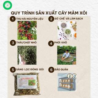 Cây Mâm Xôi Khô 1kg – Hàng Sạch, Khô Đẹp, Thảo Mộc Tự Nhiên, Dễ Pha Nước