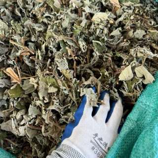 Cây Mâm Xôi Khô 1kg – Hàng Sạch, Khô Đẹp, Thảo Mộc Tự Nhiên, Dễ Pha Nước