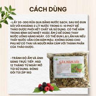 Cây Mâm Xôi Khô 1kg – Hàng Sạch, Khô Đẹp, Thảo Mộc Tự Nhiên, Dễ Pha Nước