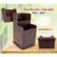 - ỐNG ĐŨA ĐẠI – TL 092