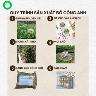 Lá Bồ Công Anh Khô 1kg Nguyên Chất | Dược Liệu Khô Chọn Lọc | Thảo Dược Đạt Huyền