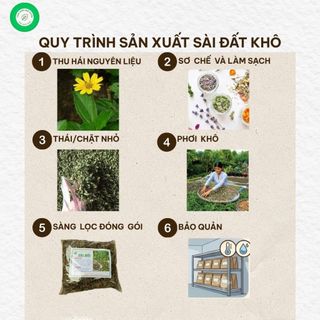 Cây Sài Đất Khô 1kg Nguyên Chất | Dược Liệu Khô Chọn Lọc | Thảo Dược Đạt Huyền
