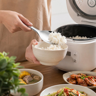 Muôi Xới Cơm Inox SUS 304 Cao Cấp - Muỗng Vá Cơm Sáng Bóng, Cách Nhiệt, Tiện Lợi Dùng Hàng Ngày