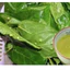 LÁ SUNG Sung Tươi Hái Cực Non Đóng Gói 1KG