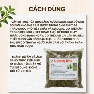 Cây Hương Nhu Khô 1kg Nguyên Chất | Dược Liệu Khô Chọn Lọc | Thảo Dược Đạt Huyền