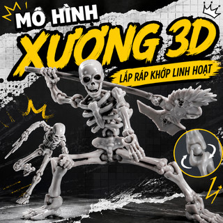 Đồ Chơi Mô Hình Hiệp Sĩ VS Bộ Xương Khớp Người Đàn Ông Skeleton Man Dummy Với Khớp Cử Động Linh Hoạt