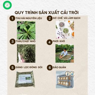Cải Trời Khô 1kg Loại Đẹp | Dược Liệu Khô Nguyên Chất | Thảo Dược Đạt Huyền