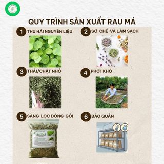 Rau Má Khô 1kg Nguyên Chất | Dược Liệu Khô Chọn Lọc | Thảo Dược Đạt Huyền