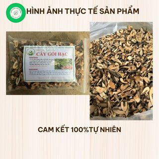 Cây Gối Hạc Khô 1kg Nguyên Chất | Dược Liệu Khô Chọn Lọc | Thảo Dược Đạt Huyền