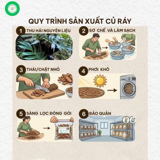 Củ Ráy Khô 1kg (Bạc Hà Núi) | Dược Liệu Khô Nguyên Chất | Thảo Dược Đạt Huyền