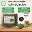 1kg cây bọ mắm khô ( cây thuốc dòi ) Cây dòi Thân Tím. Chữa Ho, Viêm Họng, Phế Quản…