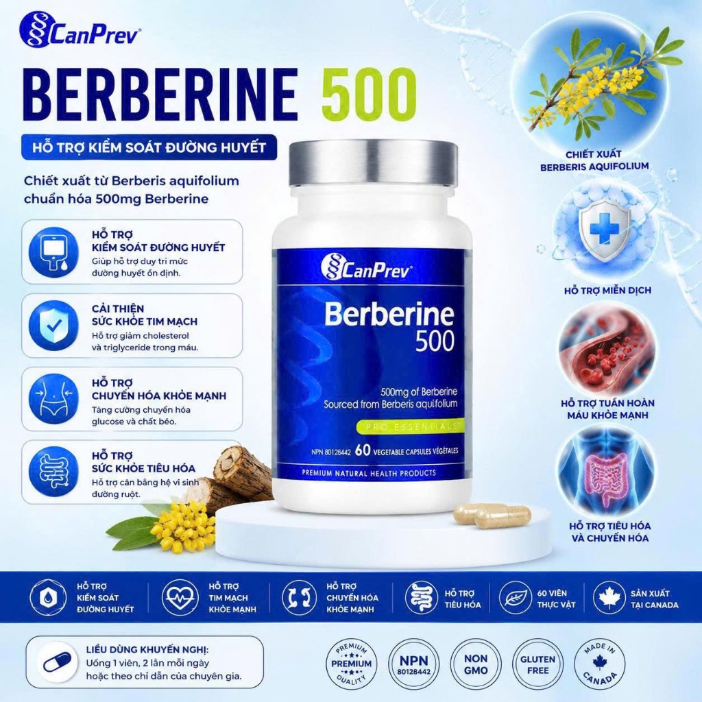 CanPrev Berberine 500mg Bổ Sung Berberine Nguồn Gốc Thảo Mộc
