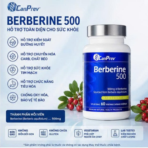 CanPrev Berberine 500mg Bổ Sung Berberine Nguồn Gốc Thảo Mộc
