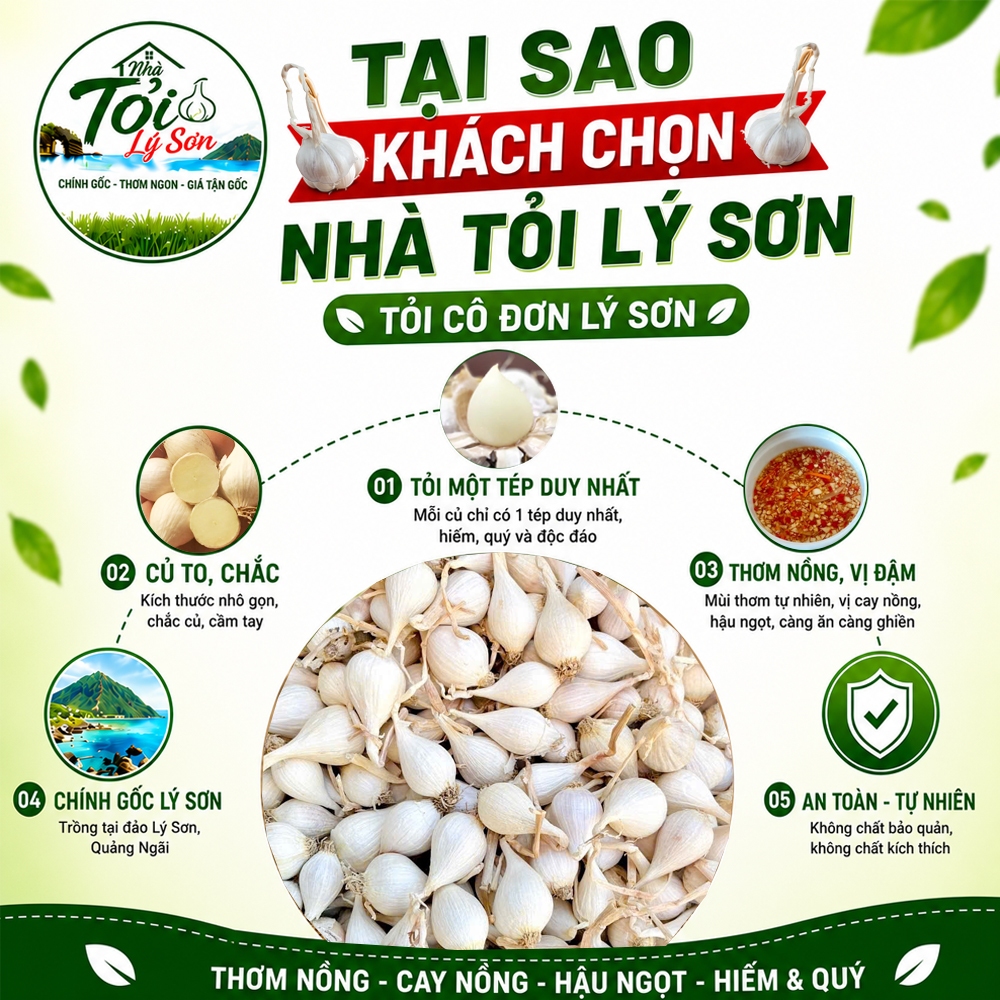 Tỏi Cô Đơn Lý Sơn Loại 1 Chính Gốc Nhà Tỏi Lý Sơn