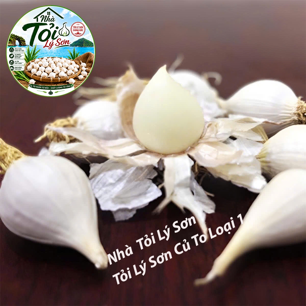 Tỏi Cô Đơn Lý Sơn Loại 1 Chính Gốc Nhà Tỏi Lý Sơn