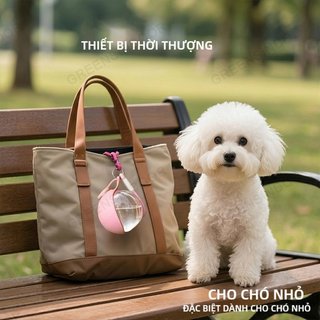 Bình Nước Cho Thú Cưng với Bát Silicone Gập Lại, 285Ml, Chống Rò Rỉ, Cốc Du Lịch Cho Chó Và Mèo, Phù Hợp Cho Hoạt Động N