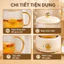Ấm Đun Nước Đa Năng 600ML, 3 Mức Nhiệt, Borosilicate, Pha Trà & Hầm Tổ Yến, Quà Tặng
