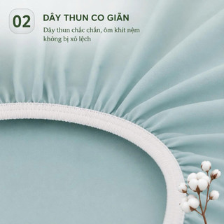 Bộ Ga Gối Thun Hàn Quốc 4 Món Aniva Bedding | Ga Chun Ôm Co Giãn 4 Chiều Mềm Mại Thoáng Mát + 1 Vỏ Gối Ôm Khóa Kéo