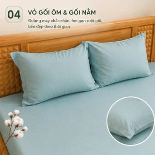 Bộ Ga Gối Thun Hàn Quốc 4 Món Aniva Bedding | Ga Chun Ôm Co Giãn 4 Chiều Mềm Mại Thoáng Mát + 1 Vỏ Gối Ôm Khóa Kéo