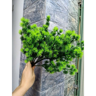 Cành Tùng La Hán Giả Trang Trí Nhà Cửa [3 Mẫu] Cành Cao, Cụm Điểm, Rủ Dài - Cây Tiểu Cảnh Nhựa PVC Bọc Kẽm