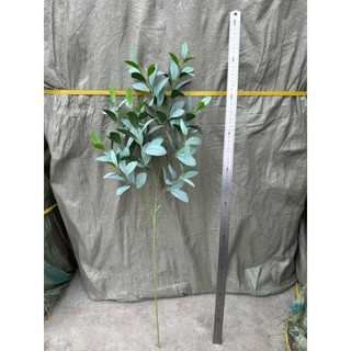 Cành Lá Oliu Giả Dài 90cm [6 Nhánh/10 Nhánh] Xanh Mốc Xanh Lá Cây Giả Trang Trí Nhà Cửa Xưởng Hạnh Hoan Nam Định