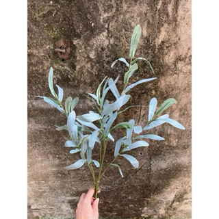 Cành Lá Oliu Giả Dài 90cm [6 Nhánh/10 Nhánh] Xanh Mốc Xanh Lá Cây Giả Trang Trí Nhà Cửa Xưởng Hạnh Hoan Nam Định