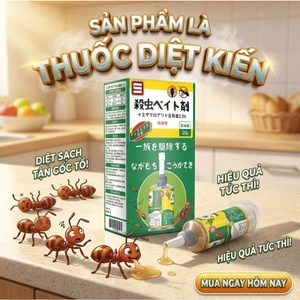 🔥Nhập khẩu Nhật Bản Thuốc Diệt Kiến Diệt Tận Gốc Hiệu Quả Nhanh An Toàn Cho Gia Đình – diệt tận tổ, không còn kiến
