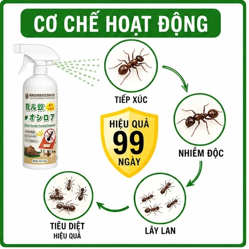 🐜 Xịt Diệt Kiến Thảo Mộc 300ml Xịt Đuổi Kiến Hiệu Quả Cao Ít Mùi Dễ Sử Dụng Phù Hợp Cho Gia Đình