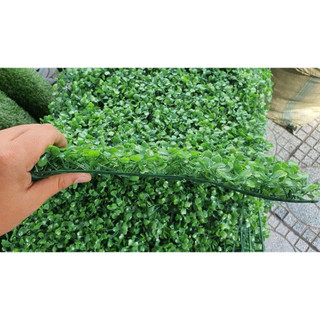 Tấm Cỏ Xoong Giả PVC 40x60cm Trang Trí Background Chụp Ảnh Tường Cây Xanh Cổng Cưới Xưởng Hạnh Hoan Nam Định