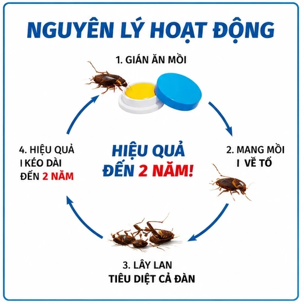 🪳 Bả diệt gián hiệu quả cao 8 viên/hộp, công thức mạnh, thấy 1 con diệt cả tổ gián
