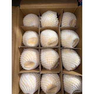 ( HÕA TỐC HCM ) Lê đường ngọt