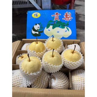 ( HÕA TỐC HCM ) Lê đường ngọt