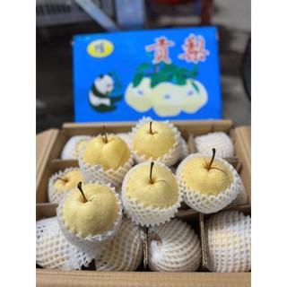 ( HÕA TỐC HCM ) Lê đường ngọt