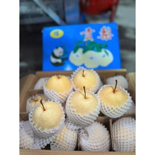 ( HÕA TỐC HCM ) Lê đường ngọt