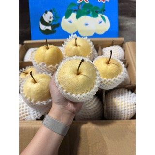 ( HÕA TỐC HCM ) Lê đường ngọt