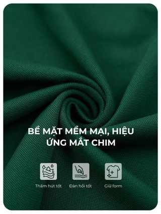 Áo Polo Nữ YODY vải Mắt Chim Cổ Phối Bo Co Giãn Thông Thoáng WCPO26A052