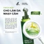 Serum Mắt Green Tea Eye Cải Thiện Quầng Thâm Mắt & Bọng Mắt Daily Effect 25ml DC95