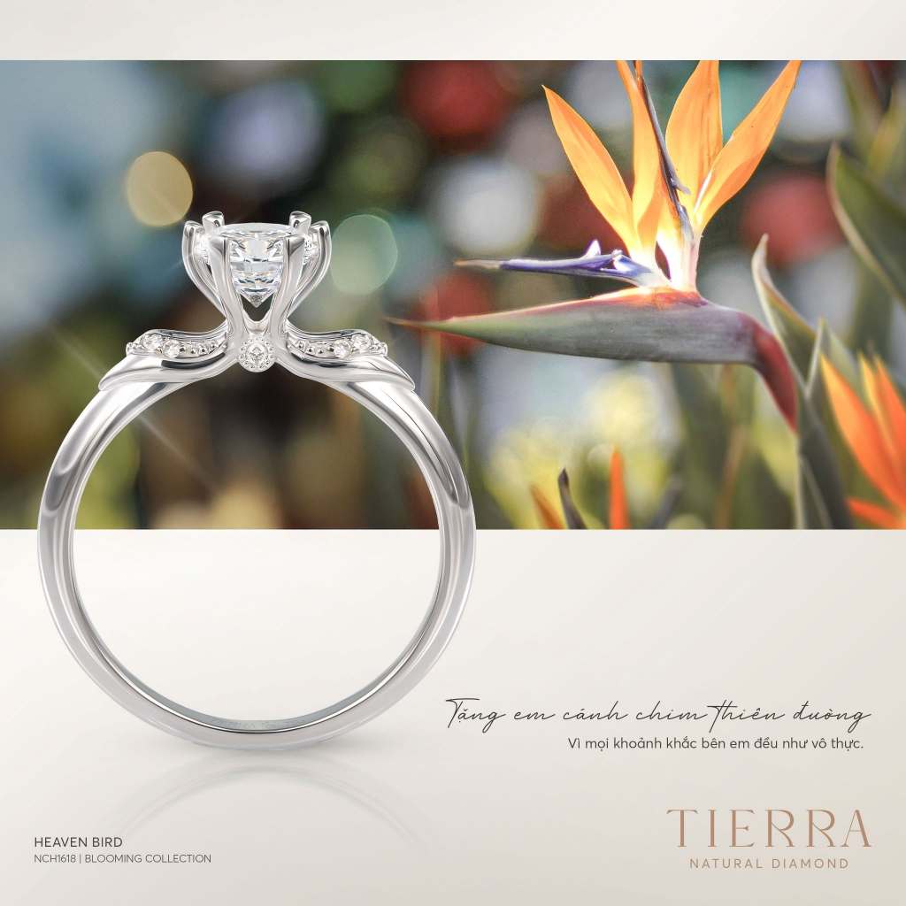 [CHAT TRƯỚC KHI ĐẶT] Nhẫn Cầu Hôn Tierra Heaven Bird NCH1618, Vàng 14K/ 18K, Tấm CZ, Thiết Kế Hiện Đại, Sang Trọng