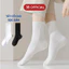 Sỉ tất 10 đôi trơn cao cổ nam nữ 3B màu trắng, đen chất cotton thoáng mịn dệt kim- CBTT10