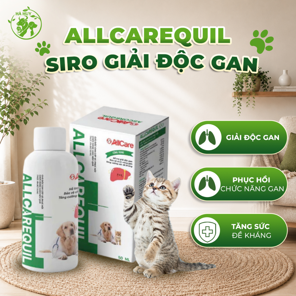 Siro Giải Độc Gan Allcarequil 50ml Cho Chó Mèo – Hỗ Trợ Phục Hồi & Tăng Cường Chức Năng Gan Pet