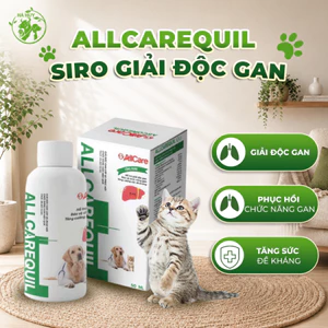 Siro Giải Độc Gan Allcarequil 50ml Cho Chó Mèo – Hỗ Trợ Phục Hồi & Tăng Cường Chức Năng Gan Pet