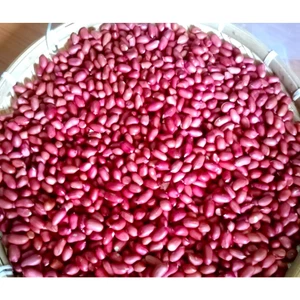 lạc đỏ ĐIỆN BIÊN,hạt chắc,mẩy, hương vị thơm ngon,bùi ,ngậy,hương vị tây bắc