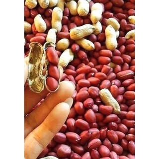 lạc đỏ ĐIỆN BIÊN,hạt chắc,mẩy, hương vị thơm ngon,bùi ,ngậy,hương vị tây bắc