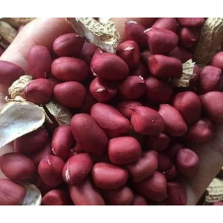 lạc đỏ ĐIỆN BIÊN,hạt chắc,mẩy, hương vị thơm ngon,bùi ,ngậy,hương vị tây bắc