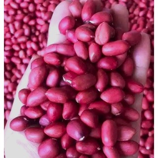 lạc đỏ ĐIỆN BIÊN,hạt chắc,mẩy, hương vị thơm ngon,bùi ,ngậy,hương vị tây bắc