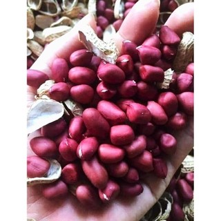 lạc đỏ ĐIỆN BIÊN,hạt chắc,mẩy, hương vị thơm ngon,bùi ,ngậy,hương vị tây bắc
