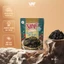 Rong Biển Sấy Tỏi Ớt VAF - Bản Sắc Việt Gói Plus 50gr