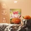 Bánh Tráng Muối Tỏi VAF - Bản Sắc Việt Gói Plus 99gr