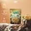 Bánh Tráng Rong Biển VAF - Bản Sắc Việt Gói Plus 99gr